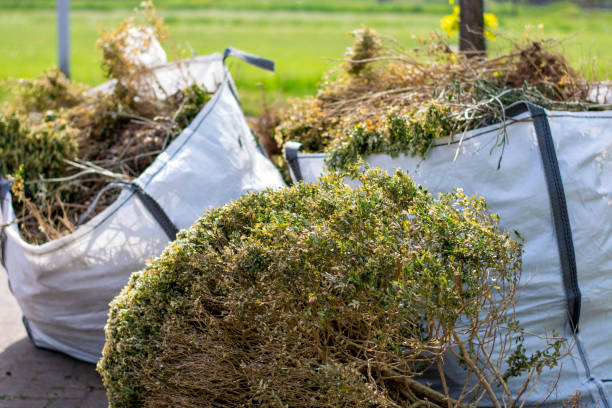 Yard Cleanup Services in Salisbury, MO